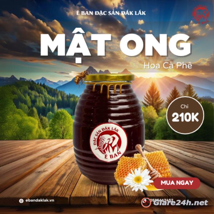 Mật ong hoa cà phê